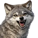 Стикер Волчонок