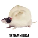 Стикер Слово+слово