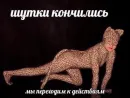Стикер Гдз по изо