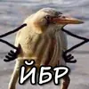ЙБР