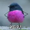 Стикер ЙБР