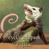 Стикер ЙБР