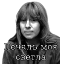 Стикер Янка Дягилева