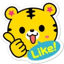 Yango The Baby Tiger