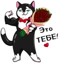 Стикер ЙогоКотики