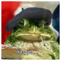 Стикер Жабычи и ляги