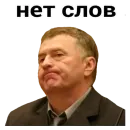 Стикер Жириновский