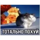 Memes