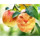 Стикер Зазу