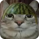 Стикер Зазу