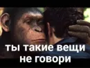 Стикер Zloi