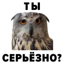 Стикер Zoology