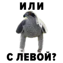 Стикер Zoology