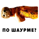 Стикер Zoology