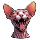 sphynxes | сфинкс