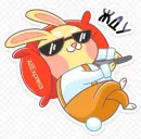Bunny