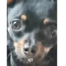 Стикер Alma moment