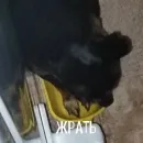 Стикер Alma moment