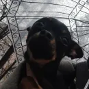 Стикер Alma moment