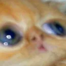 Стикер ANIM3M3S