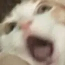 Стикер ANIM3M3S