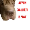 Стикер Андрюша из ТикТока