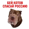 Стикер Андрюша из ТикТока