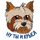 Стикер Злой Шелби