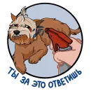 Стикер Злой Шелби