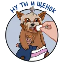 Стикер Злой Шелби