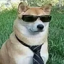 Стикер animales