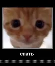 Стикер ебучие животные