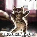 Стикер ебучие животные
