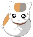 Котя сенсей