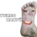 Anonymous