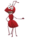 Ant