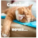 Стикер arbuzzer 09 11