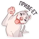 Стикер Аркадий