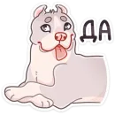 Стикер Аркадий