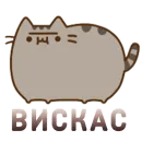 Стикер Aura Pusheen