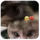 Стикер бабизянки