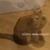 Стикер Опять на работу