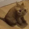 Стикер Опять на работу