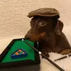 Стикер Собаки
