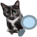 Стикер Kitty