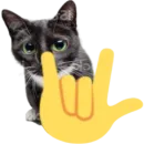 Стикер Kitty