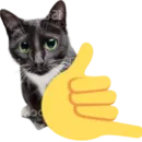 Стикер Kitty