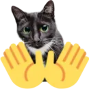 Стикер Kitty