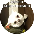 Стикер Fawning