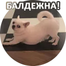 Стикер Fawning